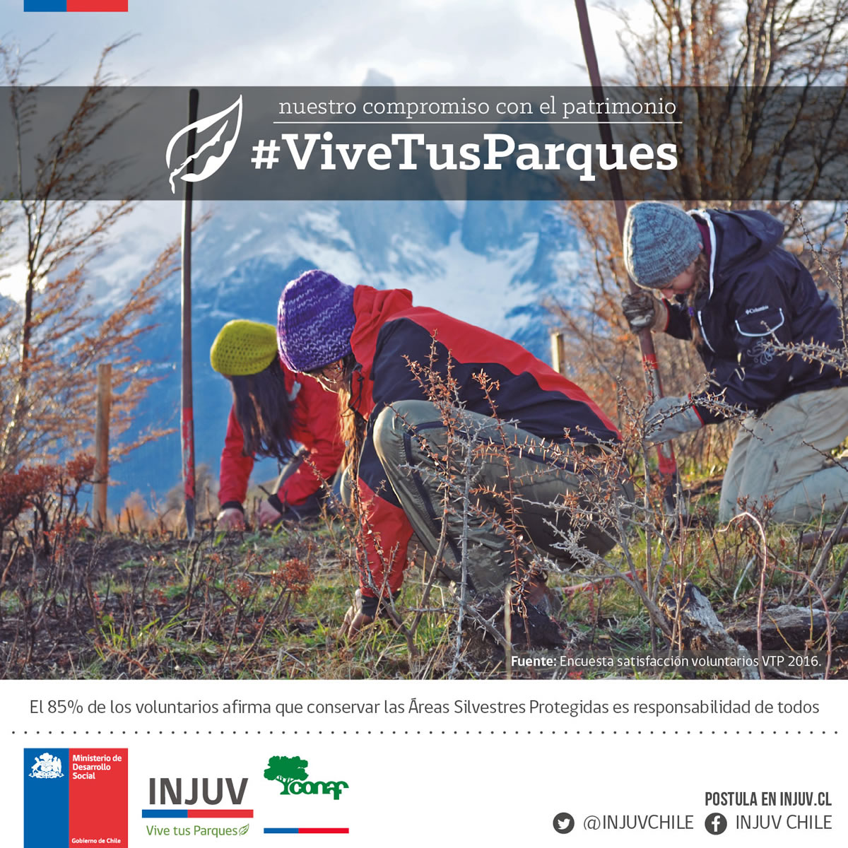 INJUV MAGALLANES INVITA A JÓVENES DE PUERTO WILLIAMS A POSTULAR A LOS TRABAJOS VOLUNTARIOS DE VERANO “VIVE TUS PARQUES” 2017